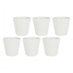 Set of 6 Aperegina Mugs - White, 75 ml