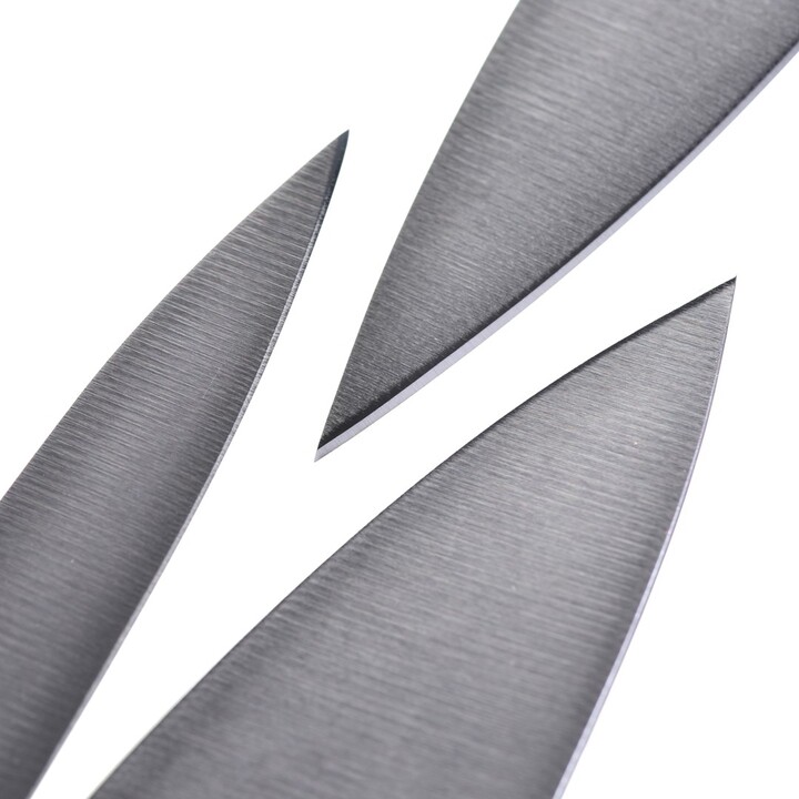 ZWILLING Set di coltelli Coltello domestico in acciaio inox