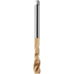 Rubinetto Fanar M16 DIN-376C R40 HSSE con rivestimento protettivo in stagno 800X, oro