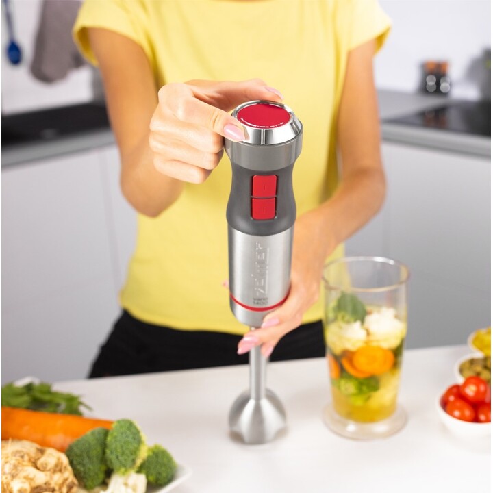 Zelmer ZHB4652 VARIO 0,5 l Pürierstab 1400 W Grau, Silber