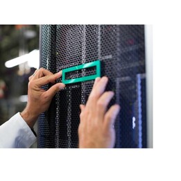 HPE DL380 G11 NS204I-U CBL INTERNO