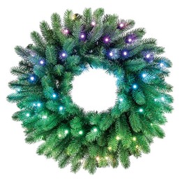 Pre-lit Twinkly String Light 50 RGB LEDs Green Cable Type C Plug