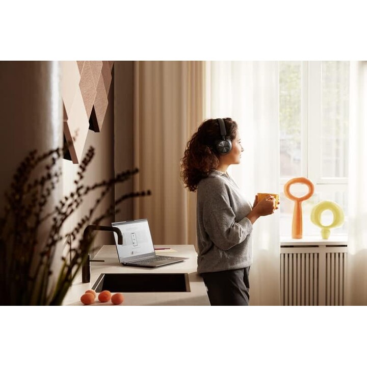 Bang & Olufsen Beocom Portal UC OE, Écouteurs noir anthracite
