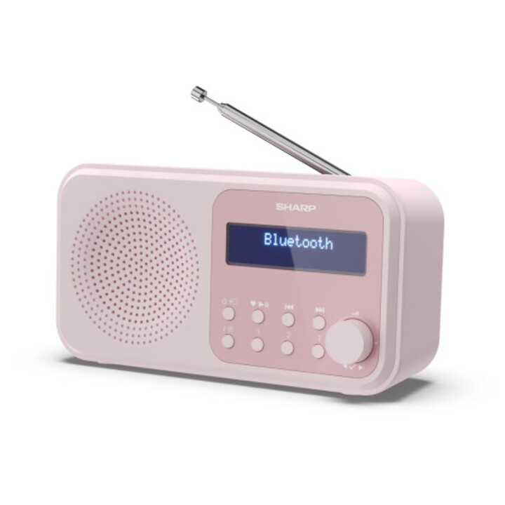 Sharp DR-P420 Digitales tragbares Gerät Pink