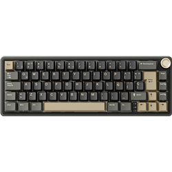 Royal Kludge RKR65 ISO ES Interrupteur remplaçable à chaud Marron Fantôme