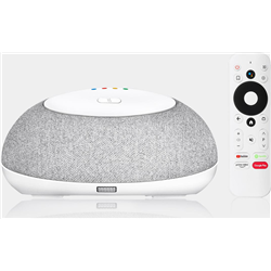 Mecool Homeplus KA1 4 GB/32 GB unterstützt Google und Android TV 11.0 Version OTT