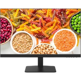 Monitor DS-D5024F2-1V2S 23,8 Zoll FHD VA 100Hz