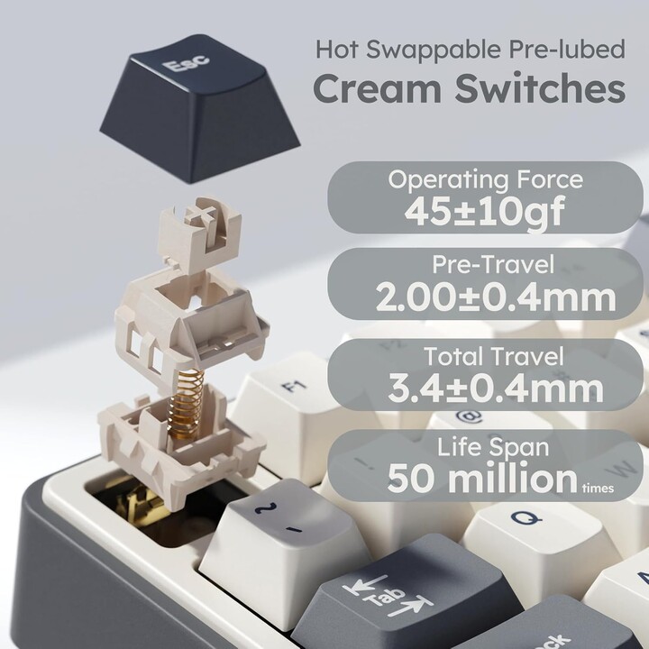 Royal Kludge R87Pro ISO-ES RGB Switch Hot-Swappable Switch Cremeless Half Grey