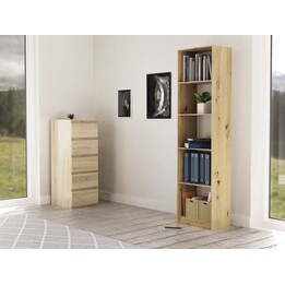 Topeshop R50 ARTISAN office shelving