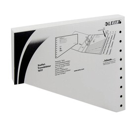 Intercalaires LEITZ 1651 vierges gris - 100 pièces