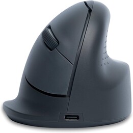 MOUSE USB OPTICO WRL BASIC/R. GRIS RGOHEBAMRWL R-GO TOOLS