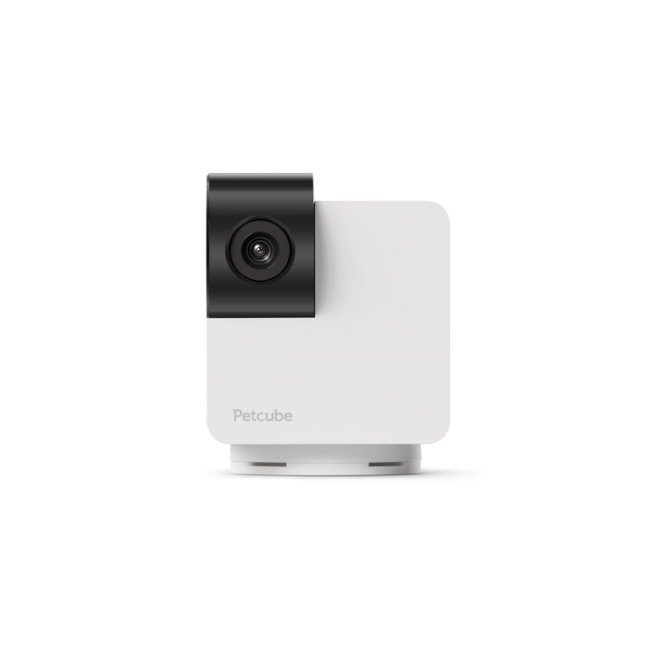 Telecamera per animali domestici - Petcube Cam 360