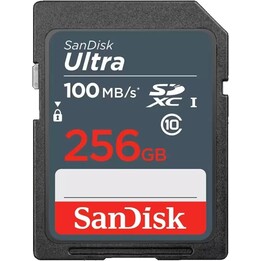 MÉMOIRE SDXC 256 Go UHS-I/SSDDUNR-256G-GN3IN SANDISK