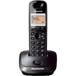 Panasonic Telephone Radio/Kx-Tg2511Fxt 