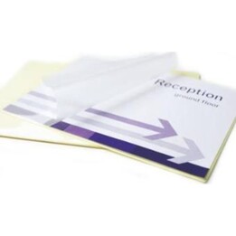 Bolsa Plastificadora Adesiva A4 80 100Pcs 5302202 Fellowes