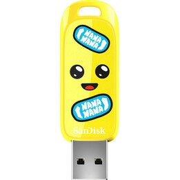 Clé USB 3.2/128 Go SDCZIF-128G-G46 SANDISK