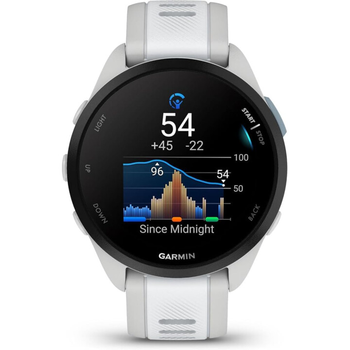 Garmin Forerunner 165 Music Couleur Gris