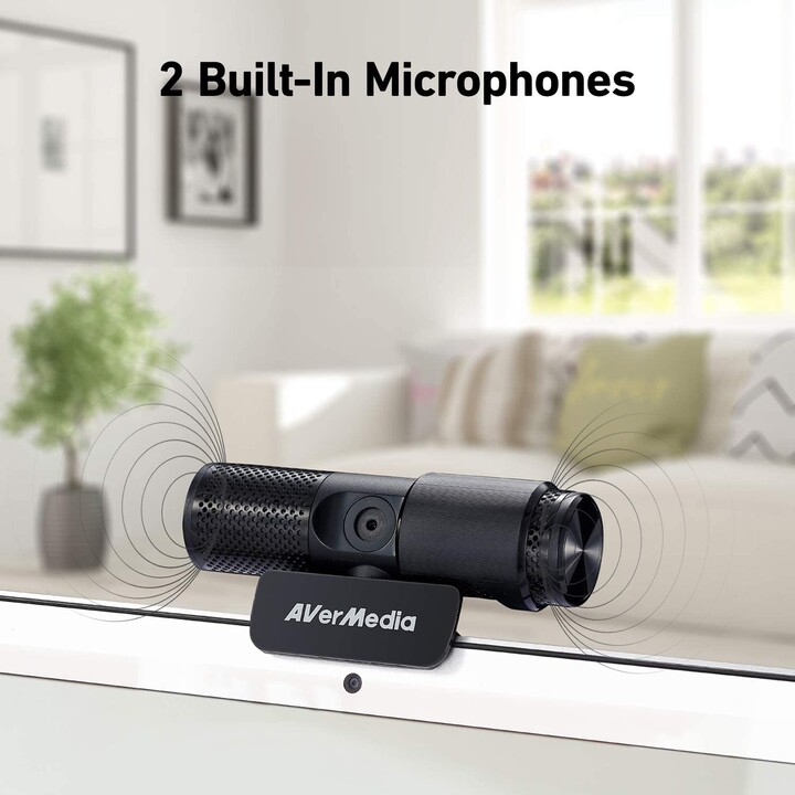Webcam Avermedia Pw313 Hd 1080P 30Fps Preto