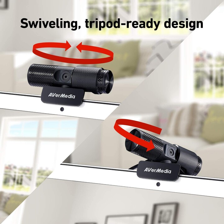 Webcam Avermedia Pw313 Hd 1080P 30Fps Preto
