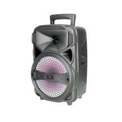 Enceinte Bluetooth 5.0 NF4089 / 20 W / 2 400 mAh / Lumières LED / TWS / FM / Micro SD / USB / Noir / One+ / 2400892