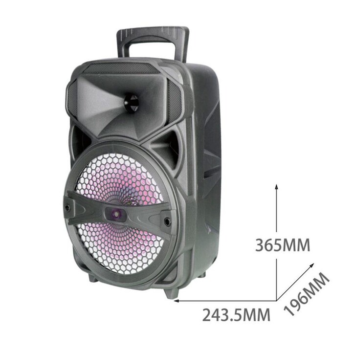 Altoparlante Bluetooth 5.0 NF4089 / 20w / 2.400 mAh / Luci LED / Tws / FM / Microsd / USB / Nero / One+ / 2400892