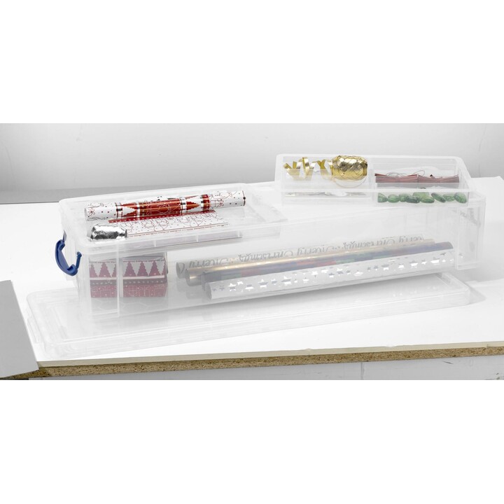 Really Useful Box storage box 22.0 l - 80.0 x 25.5 x 15.5 cm transparent