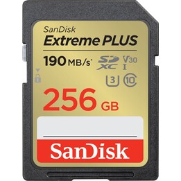 MEMÓRIA SDXC 256GB UHS-1/SDSDXWV-256G-GNCIN SANDISK