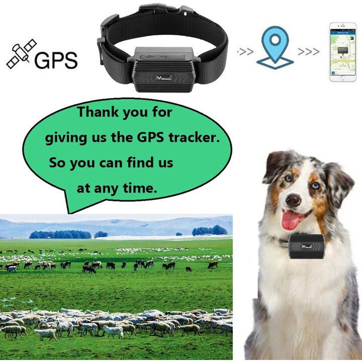 Rastreador GPS TKSTAR TK919 - GPS-Lokalisierung