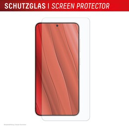 DISPLEX Panzerglas + Schutzhülle für Samsung Galaxy S25 Edge