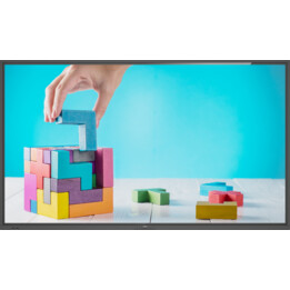 Philips E-Line 86BDL4152E/00 - Pantalla plana señalización digital 86" 4K Ultra HD WiFi 400 cd/m² Negro