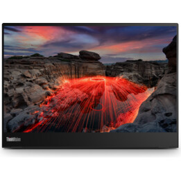 Moniteur Lenovo ThinkVision M14t Gen 2