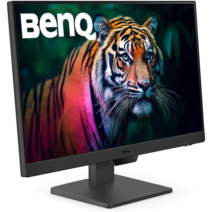 BenQ Monitor GW2490 Pantalla LCD 60,45 cm (23,8")