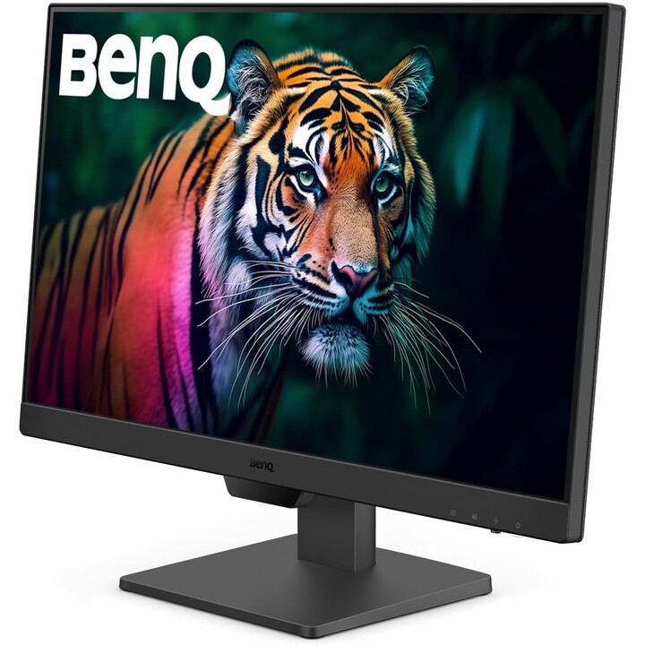 BenQ Monitor GW2490 Pantalla LCD 60,45 cm (23,8")