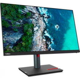 Lenovo ThinkVision P24q-30 Display LED da 60,5 cm (23,8")