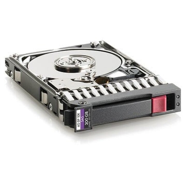 Hewlett Packard Enterprise 300 GB Hot-Plug-Dual-Port-SAS 2,5 Zoll