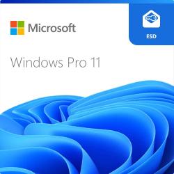 ESD Windows 11 Pro a 64 bit