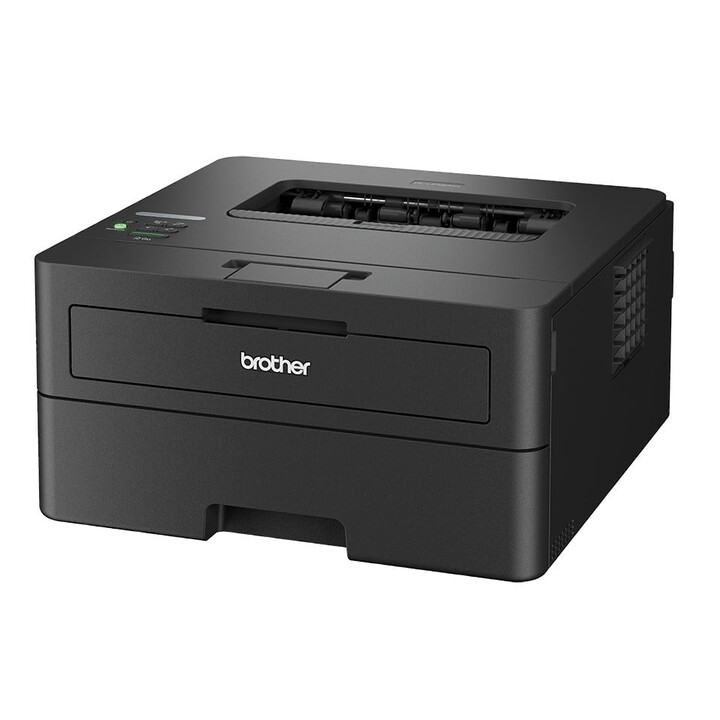 Brother HL-L2460DN Laserdrucker 1200 x 1200 DPI A4