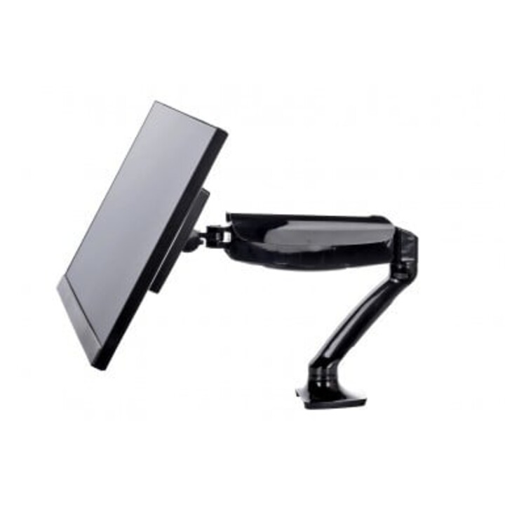 Support pour écran iiyama DS3001C-B1 68,6 cm (27"), noir