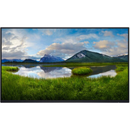 Dell P2425H 24" FHD 100Hz IPS Monitor sans support, noir