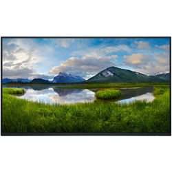 Dell P2425H 24\" FHD 100Hz IPS Monitor without Stand, Black