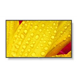 NEC Multisync M551-2 Kiosk Design 127cm (50&quot;) LED 4k Ultra HD Black Built-in Processor