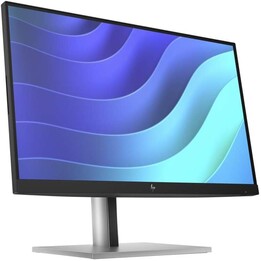 HP Monitor E22 G5 21.5i FHD Prata