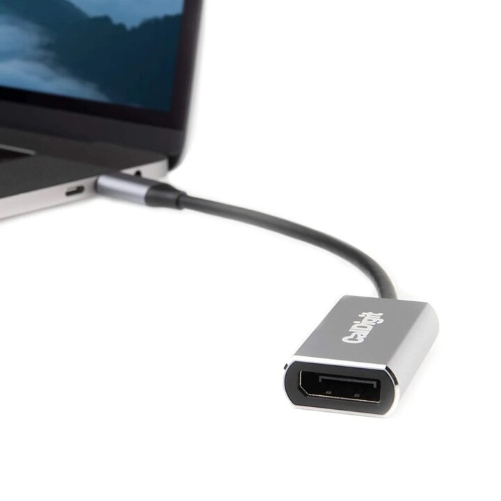 USB-C-auf-DisplayPort 1.4 8K HDR-Videoadapter