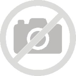 Imprimante multifonction couleur A4 Toshiba e-studio339cs avec 33 ppm