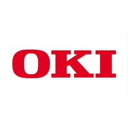 OKI Druckserver für OKI C650DN, C650(Wireless)(45830222)