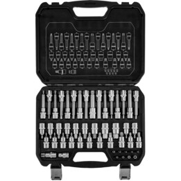 Juego de puntas Torx de 49 piezas