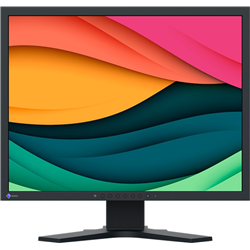 EIZO FlexScan S2134 Monitor LED, 21.3 \ ", IPS, UXGA LCD Black