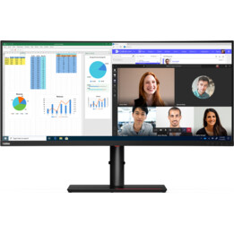 Lenovo ThinkVision P40w-20 Monitor, 39.7", IPS, 75Hz, WUHD