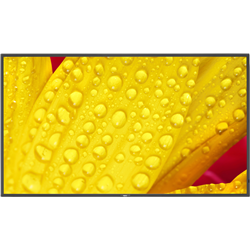 NEC MultiSync M501-2 50\" 4K UHD Interactive Display, Black