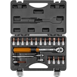 Llave dinamométrica 1/4, 5-25 Nm, juego de 21 piezas